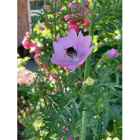 Nordnest بيت للعطل دورنوم