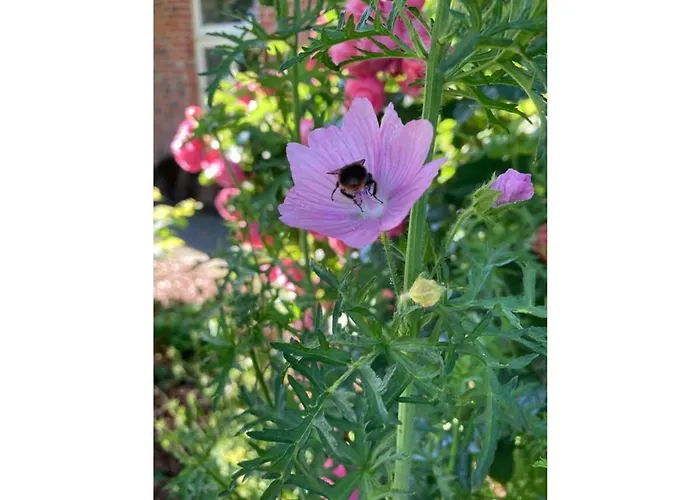 Nordnest Nyaraló Dornum